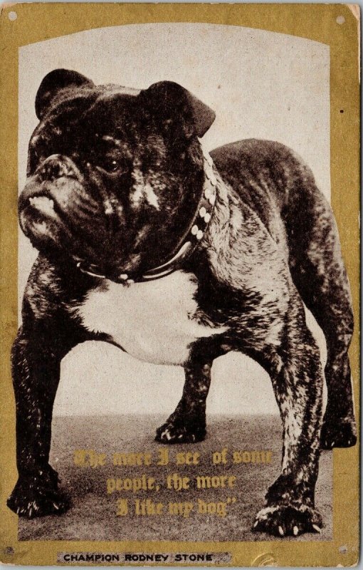 Champion Bulldog 'Rodney Stone' Dog c1910 Beaverton ON Cancel Postcard F53 