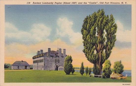 New York Old Fort Niagara Ancient Lombardy Poplar About 1687 And The Castle