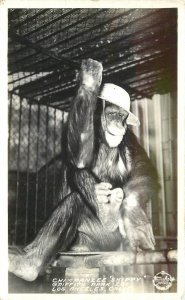 Postcard California Los Angeles RPPC 1940s Frasher Chimpanzee Skippy 23-12434