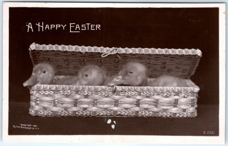 1907 Rotograph Happy Easter RPPC Cute Baby Ducks Ducklings Chick Real Photo A147