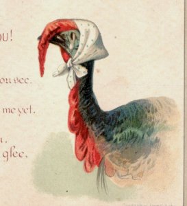 1880s Victorian Comical Merry Thanksgiving Death To The Turkey F194