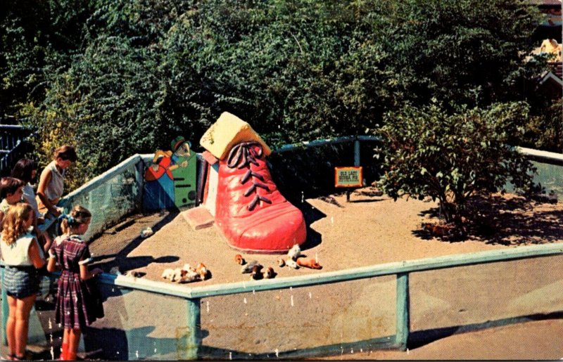 Michigan Detroit Belle Isle Children's Zoo The Old Lady Pig Who Lived In...