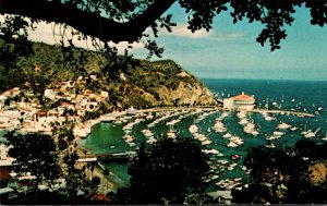 California Catalina Island Avalon Bay