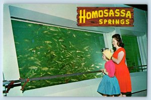 St. Petersburg Florida Postcard Nature's Fishbowl Spring Homosassa Springs c1960