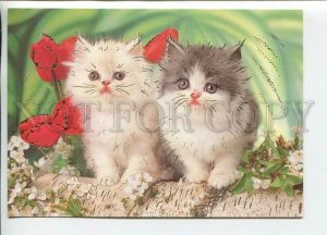 450917 Belarus 2003 year POSTAL stationery kittens and poppies