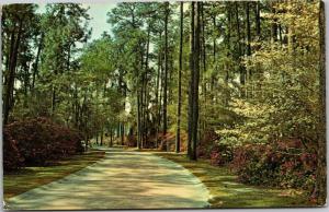 Valdosta State College Campus, Valdosta GA Postcard I16