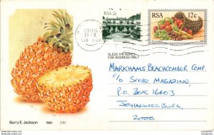 RSA South Africa Postal Stationery Ananas to Johannesburg