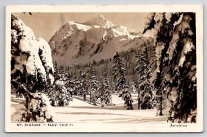 Washington RPPC Mt Shuksan Snow Covered Trees Jacobson Photo Postcard A50
