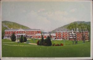 Virginia Hot Spring Homestead c1910 Postcard