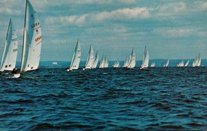 New York Long Island Star Boats Racing In Long Island Sound