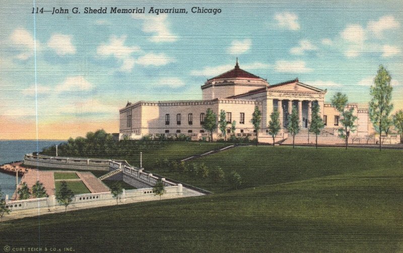 Vintage Postcard John G. Shedd Memorial Aquarium Lake Front Chicago Illinois ILL