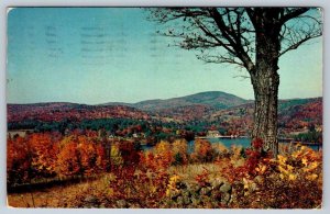 Fall Colours, Souvenir De Dolbeau Quebec Canada, Vintage 1959 Chrome Postcard