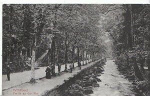 Germany Postcard - Wildbad - Partie an der Enz   2910