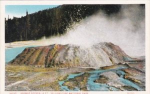 Sponge Geyser Yellowstone National Park