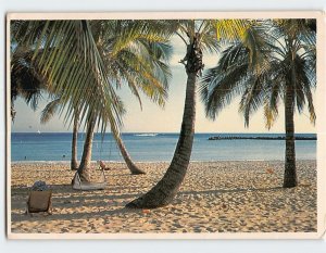 Postcard Palm Shaded Beach Typical Florida Scene Florida USA
