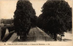 CPA Palais de FONTAINEBLEAU - L'Avenue de Maintenon (166531)