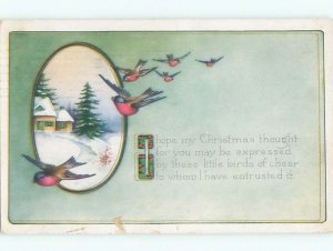 Divided-Back CHRISTMAS BIRDS SCENE Pretty Postcard W8530