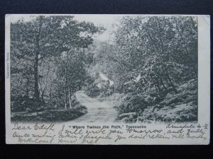 Scotland TROSSACHS Where Twines the Path c1902 UB Postcard by Valentine