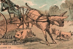 1880s Brown & Keller Furnishing Undertakers Mule Farming Wild Hogs Crash P208