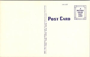 Vintage Sun Valley Lodge Idaho Postcard Linen