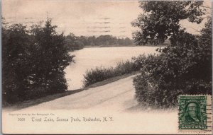 Trout Lake Seneca Park Rochester New York Vintage Postcard C053