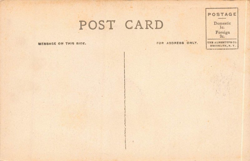 View on York Ave., Towanda, Pennsylvania, Early Hand Colored Postcard, Unused