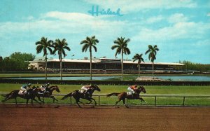 Vintage Postcard A Thrilling Race Hialeah Racecourse Miami Florida Gulfstream FL