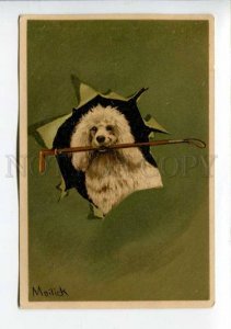 422994 POODLE Dog Portrait MAILICK Vintage LITHO postcard