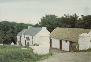 Hill Farm Coshkib County Antrim Irish Folk & Transport Museum Postcard