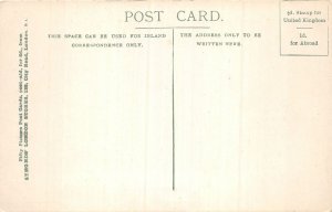 Lot261 the rabbit s views hunting comic postcard  uk