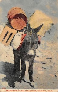 Trinidad Colorado Burro Carrying Freight In Mts., Color Lithograph PC U7196