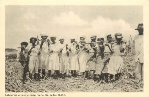 1930s Postcard; Labourers Enjoying Sugar Cane, Barbados, B.W.I. Unposted