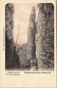 Luxembourg Wolfsschlucht prés d'Echternach Vintage Postcard 04.13