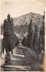 B92698 mallorca pollensa camino del calvario spain   real photo