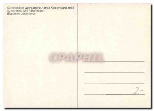 Postcard Modern Kartenaktion Gewaltfreie Aktion Kaiseraugst Blatten im Lotsch...