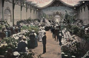 British Franco Exhibition Flower Show Postcard