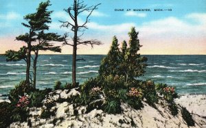 Vintage Postcard 1930's Arcadia Dune at Manistee County Michigan MI Sea Coast