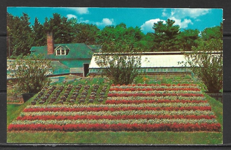 Connecticut, Hartford - American Flag At Elizabeth Park - [CT-078]