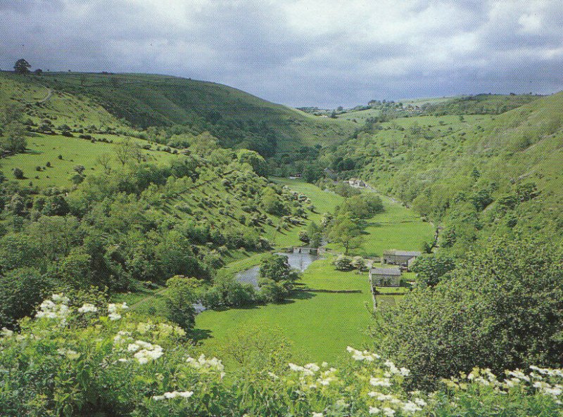 Derbyshire Postcard - Monsal Dale From Monsal Head - Derby - Ref 8220A