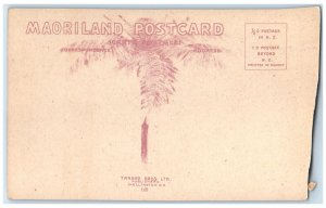 c1910 Waitakarei Lake Near Auckland New Zealand Unposted Antique Postcard