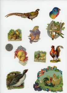 1880's Birds Lot of 10 Die Cut Victorian Scrap X404