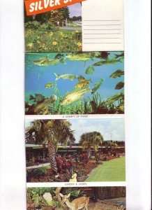 Souvenir Folder, 14 Views, Silver Springs, Florida