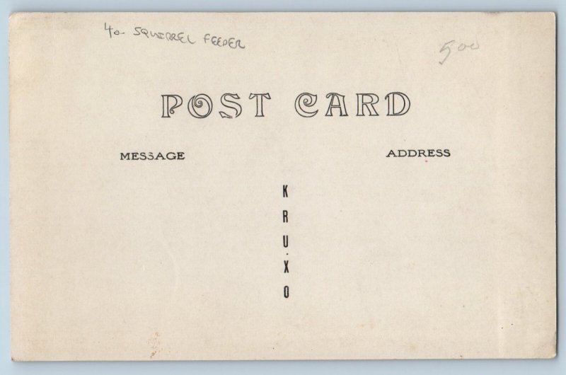 c1910's Squirrel Feeder On Tree RPPC Photo Unposted Antique Postcard