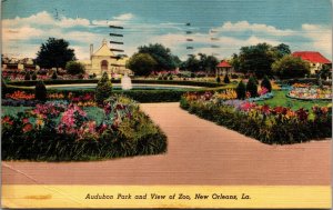 Vtg New Orleans Louisiana LA Audubon Park and View of Zoo 1950s Linen Postcard