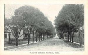 Geneva Ohio Walnut Street Antique Postcard J71574