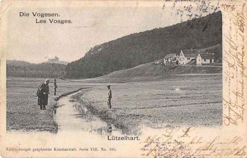 Lutzelhart France Die Vogesen Vosges Mountains Scenic View Postcard J73006