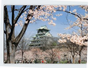 Postcard Osaka Castle surrounded by Cherry Trees in full bloom Osaka Japan