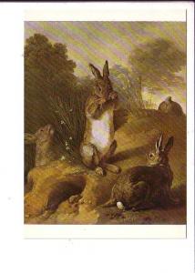 Rabbits Alexandre Desportes Painting