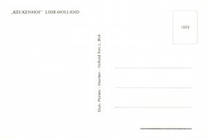 Postcard Lisse-Holland Keukenhof Botanical Garden Of Europe Lisse Netherlands