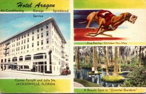 Florida Jacksonville Hotel Aragon Showing Dog Racing and Oriental Gardens